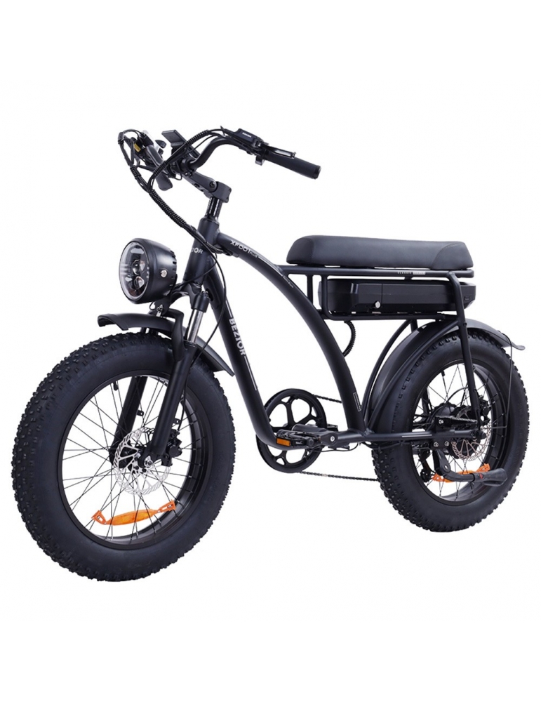 BEZIOR XF001 Plus Bicicletta elettrica, pneumatico 20*4.0in, motore 48V  1000W, velocità massima 45km/h, 17.5Ah - Nero Opaco