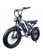 EUENI FXH009 Bicicletta elettrica con pneumatici da 20...