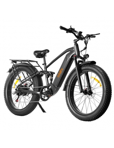 AILIFE X26B Bicicletta elettrica, batteria da 48V 13Ah,...