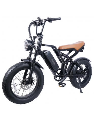 EUENI FXH009 Pro Bicicletta elettrica, pneumatico da 20...