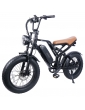 EUENI FXH009 Pro Bicicletta elettrica, pneumatico da 20...