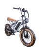 EUENI FXH009 Pro Electric Bike, pneumatico da 20 pollici,...