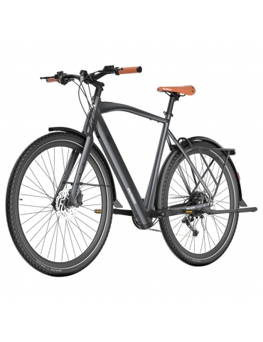 Fafrees F700M Bicicletta elettrica, motore da 250 W,...