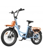 Hidoes C6 Electric Bike  250W Motor  36V 13Ah Battery  20*3 inch Tires  25km/h Max Speed  35km Range  Front 