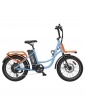 Hidoes C6 Electric Bike  250W Motor  36V 13Ah Battery  20*3 inch Tires  25km/h Max Speed  35km Range  Front 