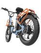 Hidoes C6 Electric Bike  250W Motor  36V 13Ah Battery  20*3 inch Tires  25km/h Max Speed  35km Range  Front 