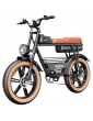 Ridstar CR20 Electric Bike  1000W Motor  48V 20Ah Battery  20*4 0 inch Fat Tires  48km/h Max Speed  70km Max Range  Front 