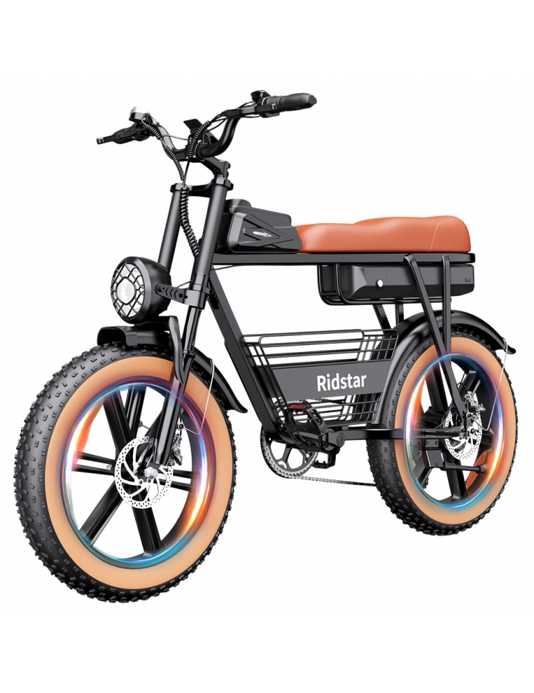Bici Elettrica Q20 Da 48V 20Ah, Motore 250W, Fat Tire 20", 7 Velocità E Doppio Ammortizzatore, Per Adulti