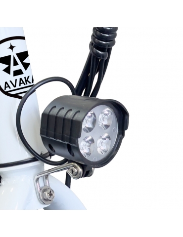AVAKA R1 Electric Bike  250W Motor  36V 7 8Ah Battery  700C Tires  32km/h Max Speed  45km Max Range  Mechanical Disc Brake  Shi