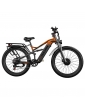 PULUMA PE86 Pro Electric Bike  500W*2 Motor  48V 20Ah Battery  26 inch Tires  40km/h Max Speed  150km Range  Hydraulic Brakes  