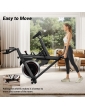 ROBORE SEB20 Stationary Exercise Bike  136kg Capacity  Silent Belt Drive  Comfort Seat 