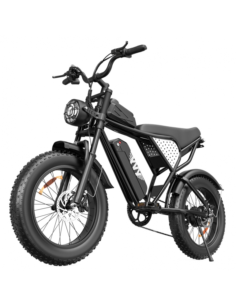 Bici Elettrica YVY C20 Con Batteria 48V 20Ah Rimovibile, Autonomia 150 Km, 7 Velocità, Doppia Sospensione E Freni A Disco, Schermo LCD