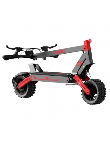 GOKEEP F5 Electric Scooter  1000W Motor  52V 20Ah Battery  11 inch Tires  55km/h Max Speed  80km Max Range  Front 