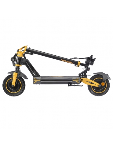 TWOFISH TW3 PRO Electric Scooter  1000W*2 Motor  52V 23Ah Battery  11 inch Tires  60km/h Max Speed  55km Range  Dual Disc Brake