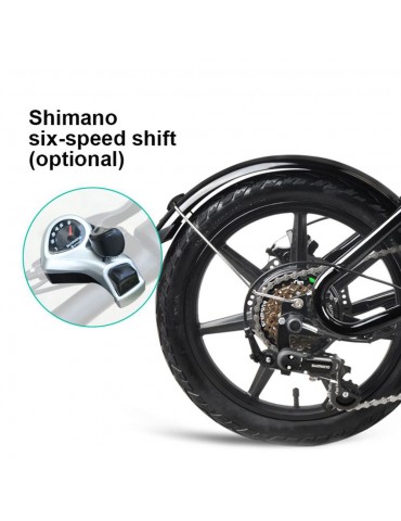 Bicicletta elettrica pieghevole FIIDO D2S |Italia