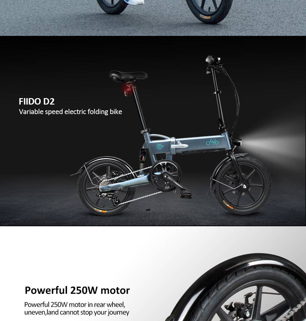 Bicicletta elettrica pieghevole FIIDO D2S | Italia