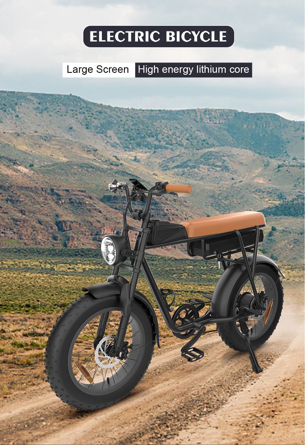 YAMALI FXH-006 Electric Bike 1000W Motor 48V 20Ah Battery 20*4'' Fat Tires 50km/h Max Speed 60km Range Shimano 7 Speed F