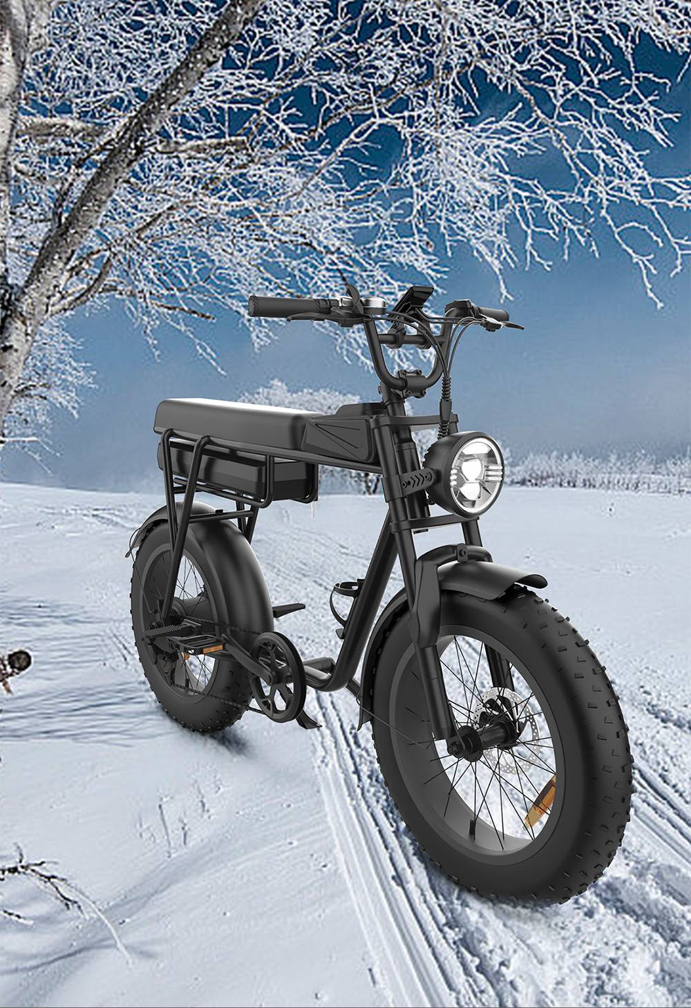 YAMALI FXH-006 Electric Bike 1000W Motor 48V 20Ah Battery 20*4'' Fat Tires 50km/h Max Speed 60km Range Shimano 7 Speed F
