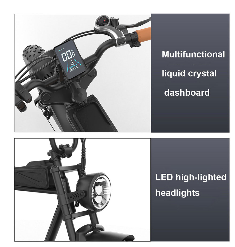 YAMALI FXH-006 Electric Bike 1000W Motor 48V 20Ah Battery 20*4'' Fat Tires 50km/h Max Speed 60km Range Shimano 7 Speed F