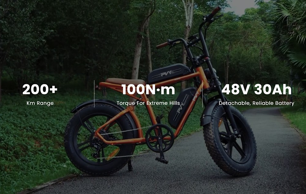 PVY X20 Electric Bike 1000W Motor 48V 30Ah Dual-battery 20*4 0'' Fat Tire 50km/h Max Speed 200km Max Range Hydraulic Disc