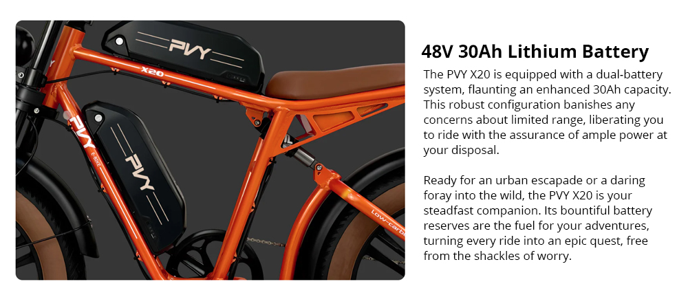 PVY X20 Electric Bike 1000W Motor 48V 30Ah Dual-battery 20*4 0'' Fat Tire 50km/h Max Speed 200km Max Range Hydraulic Disc
