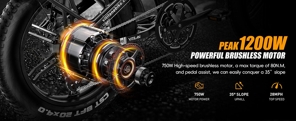 Vitilan I7 Pro 3 0 Electric Bike 750W Motor 48V 20Ah Battery 20*4 0-inch Fat Tire 45km/h Max Speed 110km Max Range Hydrau