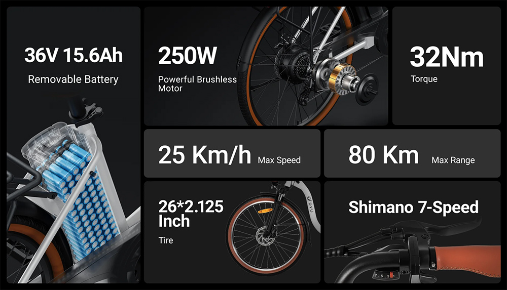 DYU C6 Pro Electric Bike  250W Motor  36V 15 6Ah Battery  26*2 125-inch Tire  25km/h Max Speed  80km Range  Disc Brake  Front F