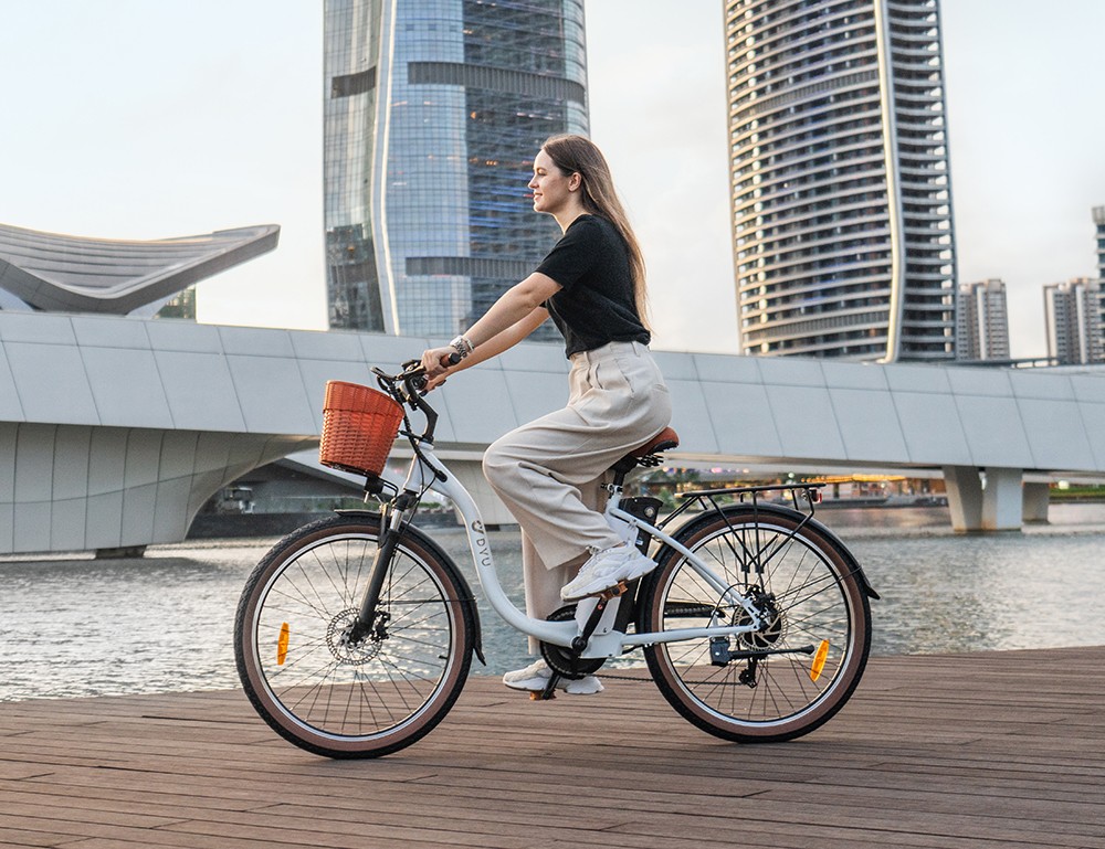 DYU C6 Pro Electric Bike  250W Motor  36V 15 6Ah Battery  26*2 125-inch Tire  25km/h Max Speed  80km Range  Disc Brake  Front F