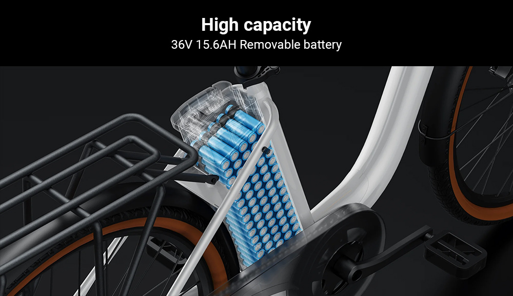 DYU C6 Pro Electric Bike  250W Motor  36V 15 6Ah Battery  26*2 125-inch Tire  25km/h Max Speed  80km Range  Disc Brake  Front F