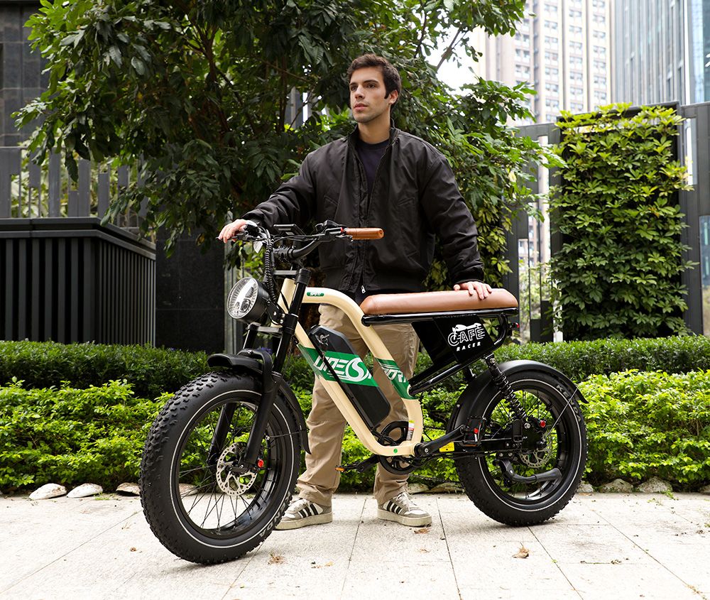 ONESPORT W66 Electric Bike  500W Motor  48V 13 5Ah Battery  20*4 0 inch Tire  25km/h Max Speed  100km Range  Front 