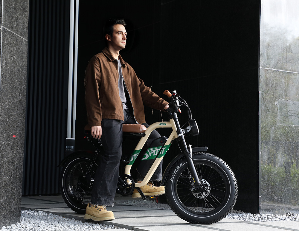 ONESPORT W66 Electric Bike  500W Motor  48V 13 5Ah Battery  20*4 0 inch Tire  25km/h Max Speed  100km Range  Front 