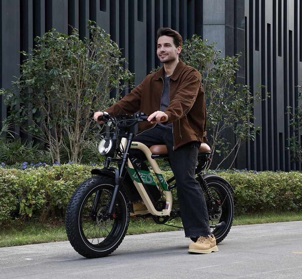 ONESPORT W66 Electric Bike  500W Motor  48V 13 5Ah Battery  20*4 0 inch Tire  25km/h Max Speed  100km Range  Front 