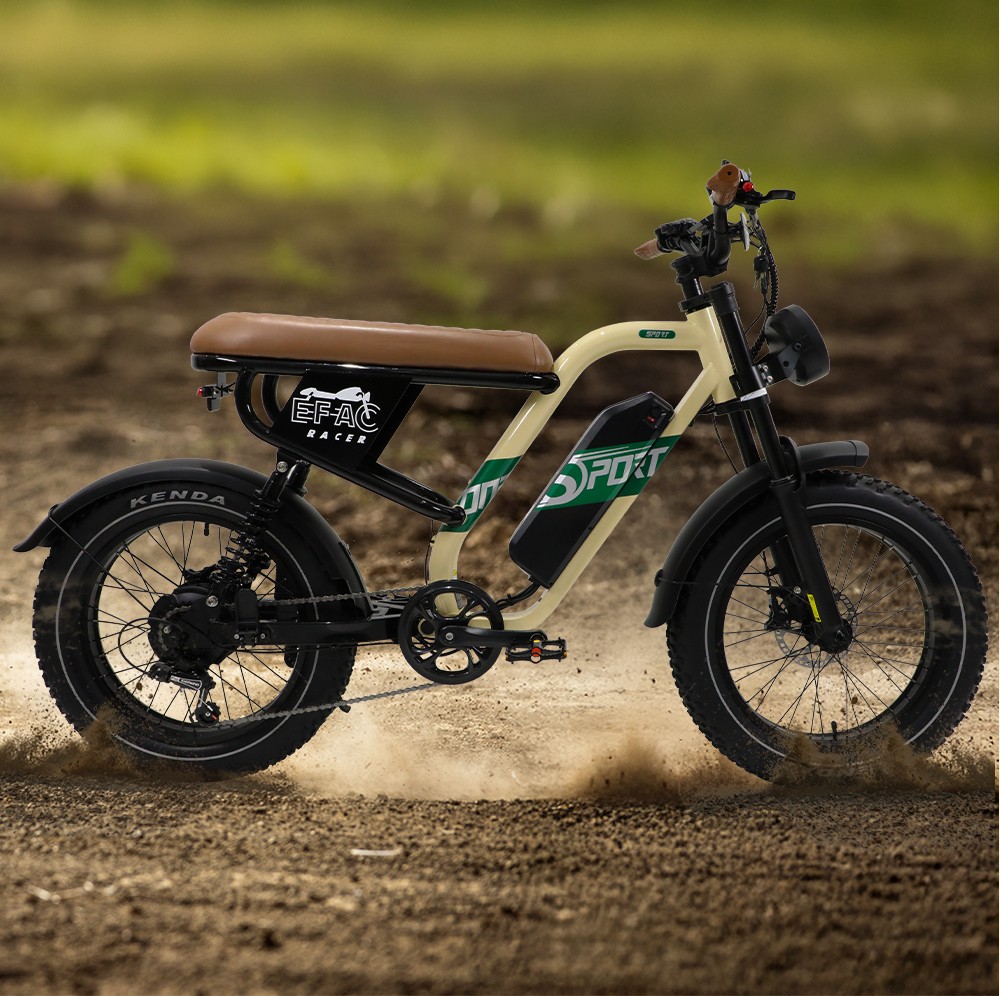 ONESPORT W66 Electric Bike  500W Motor  48V 13 5Ah Battery  20*4 0 inch Tire  25km/h Max Speed  100km Range  Front 