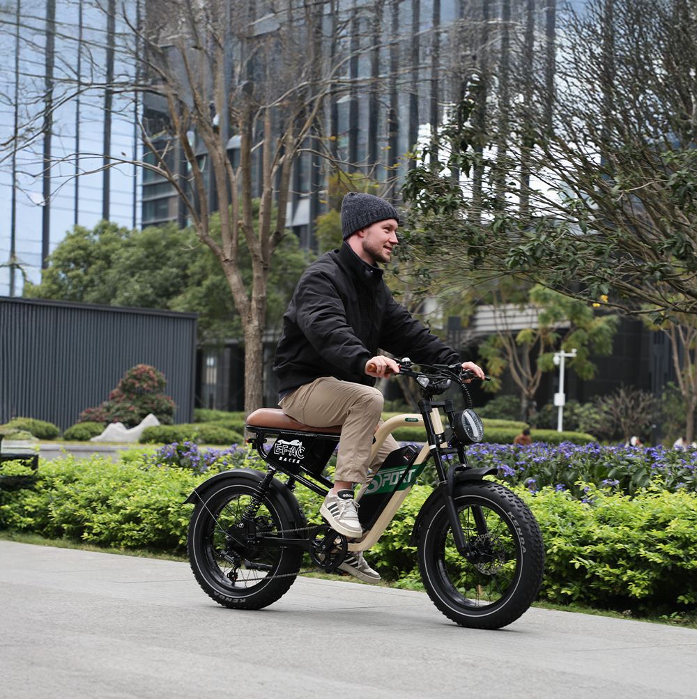 ONESPORT W66 Electric Bike  500W Motor  48V 13 5Ah Battery  20*4 0 inch Tire  25km/h Max Speed  100km Range  Front 