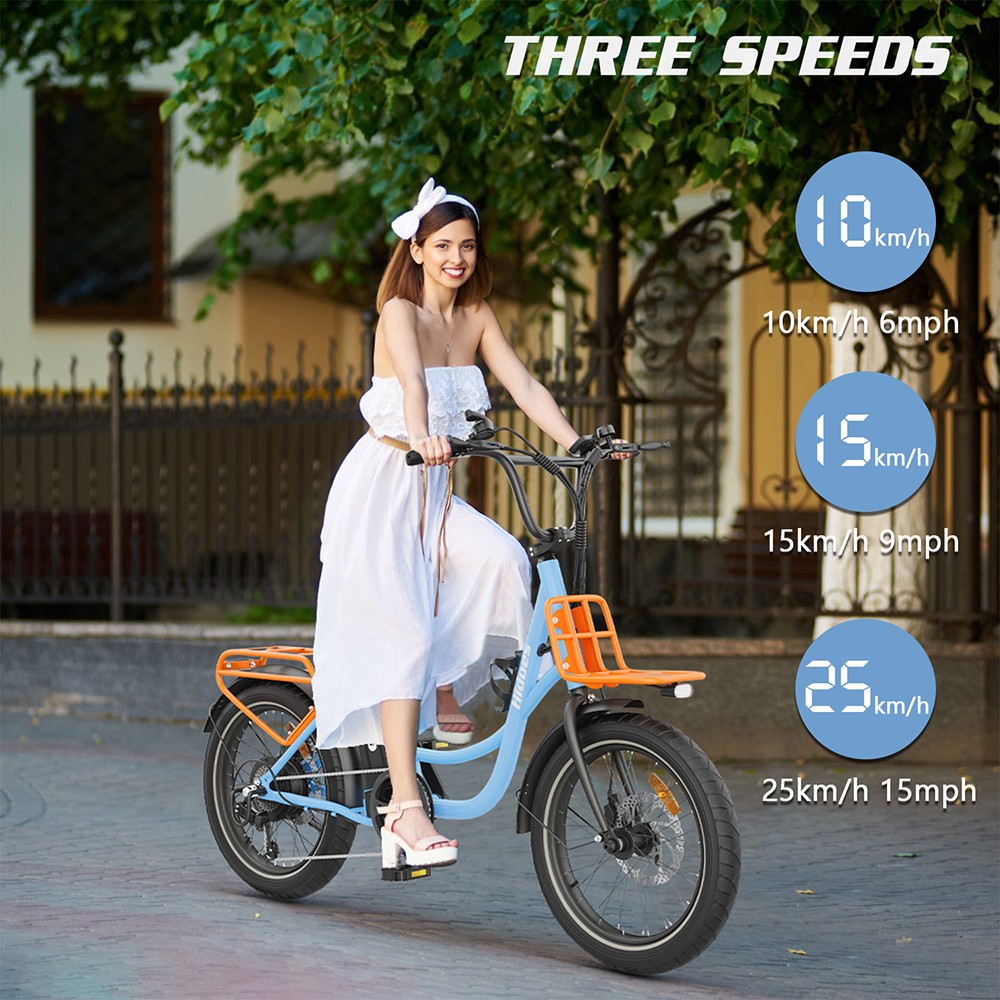 Hidoes C6 Electric Bike  250W Motor  36V 13Ah Battery  20*3 inch Tires  25km/h Max Speed  35km Range  Front 