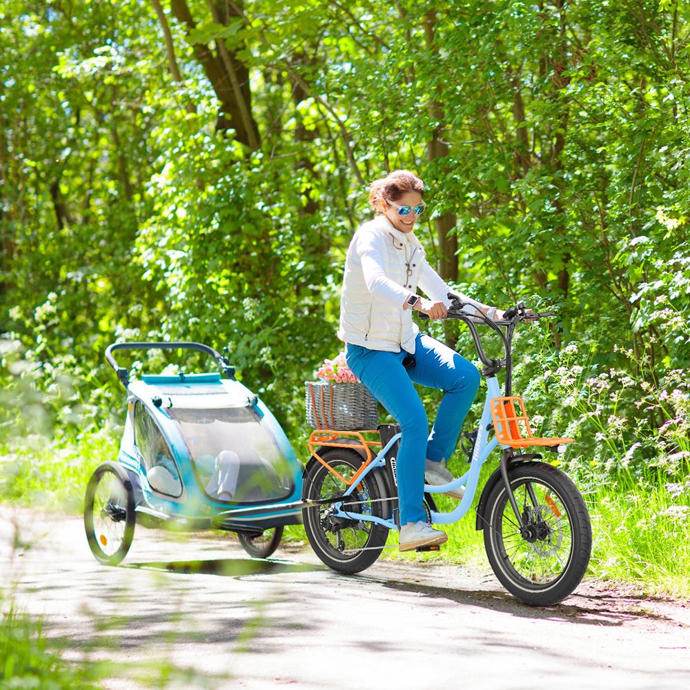 Hidoes C6 Electric Bike  250W Motor  36V 13Ah Battery  20*3 inch Tires  25km/h Max Speed  35km Range  Front 