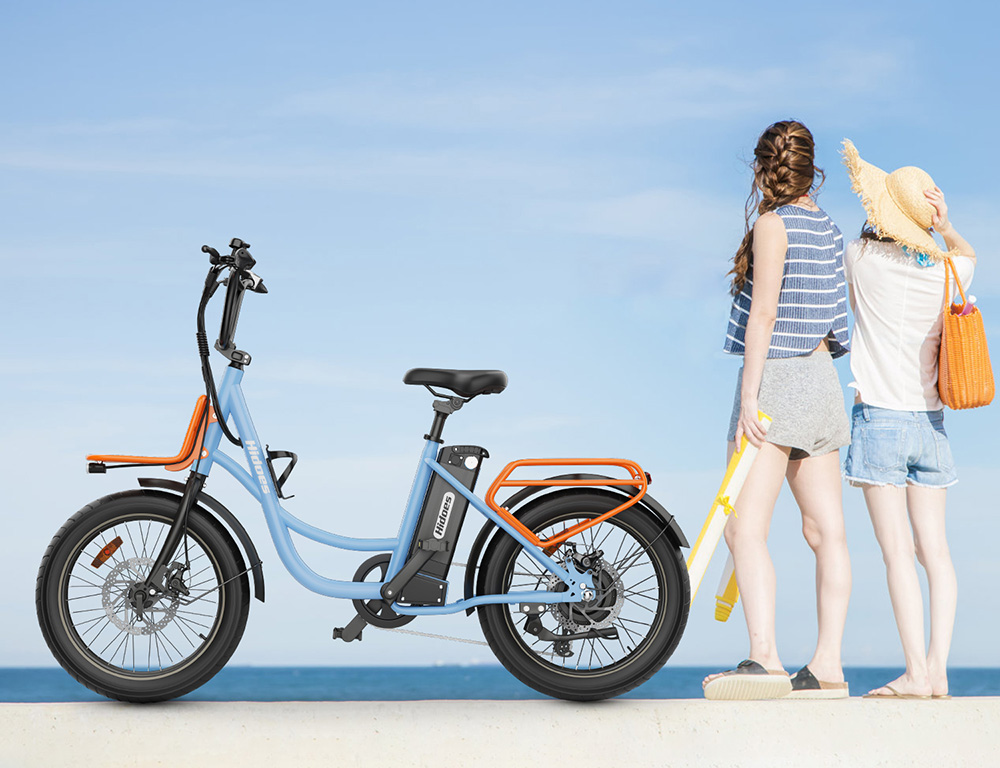Hidoes C6 Electric Bike  250W Motor  36V 13Ah Battery  20*3 inch Tires  25km/h Max Speed  35km Range  Front 