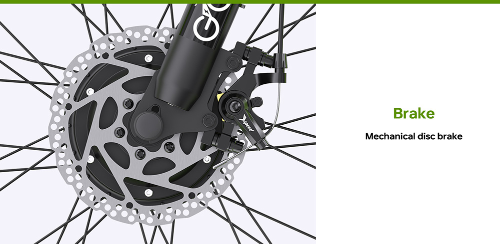 GOGOBEST GF700 Electric Bike 2*500W Dual Motor 48V 18 2Ah Battery 26*4 0 inch Tires 25km/h Max Speed 70km Max Range Mecha
