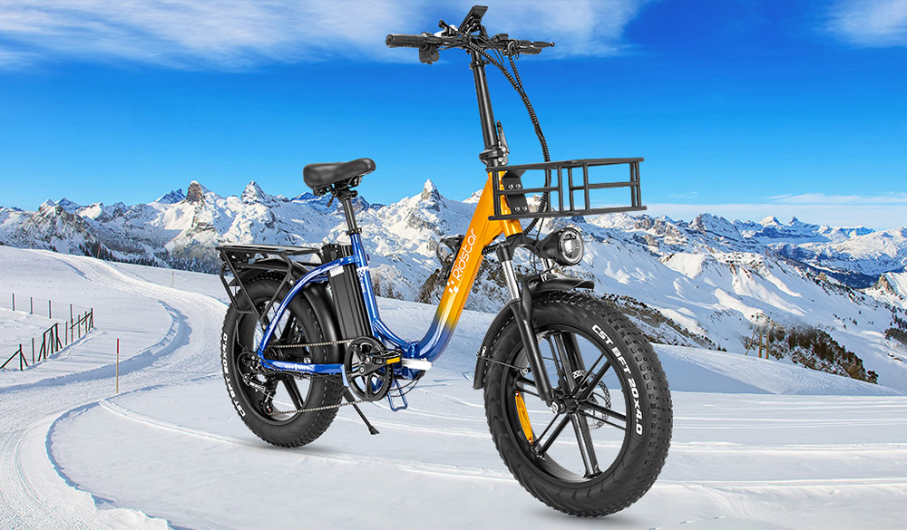 Ridstar MN20 Electric Bike 1000W Motor 48V 15Ah Battery 20*4 0 inch Fat Tire 48km/h Max Speed 70km Range Dual Mechanical