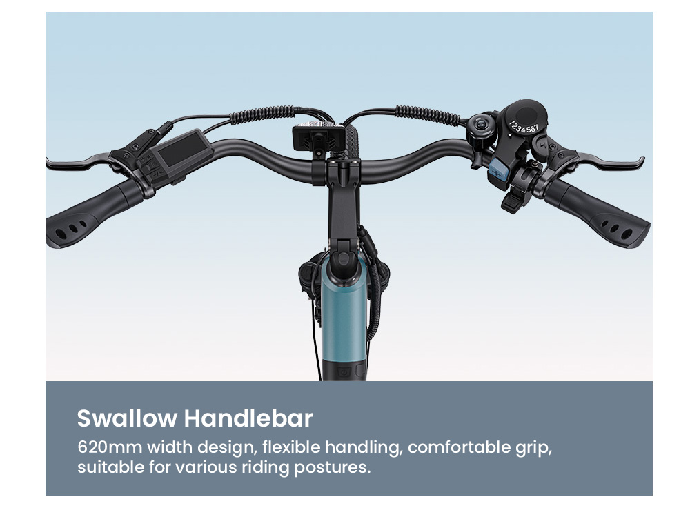 ENGWE P275 SE Electric Bike  250W Motor  36V 13Ah Battery  27 5 inch Tires  25km/h Max Speed  100km Range  Hydraulic Disc Brake