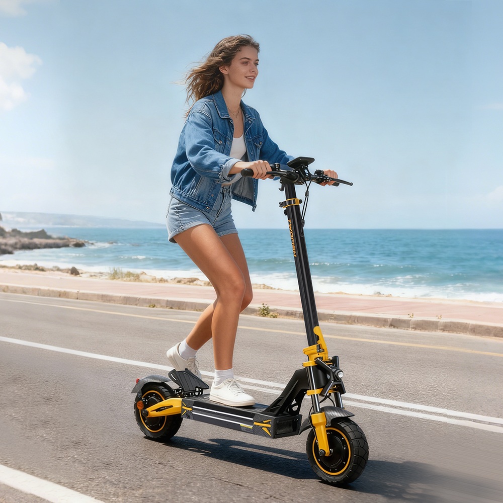 TWOFISH TW3 PRO Electric Scooter 1000W*2 Motor 52V 23Ah Battery 11 inch Tires 60km/h Max Speed 55km Range Dual Disc Brake
