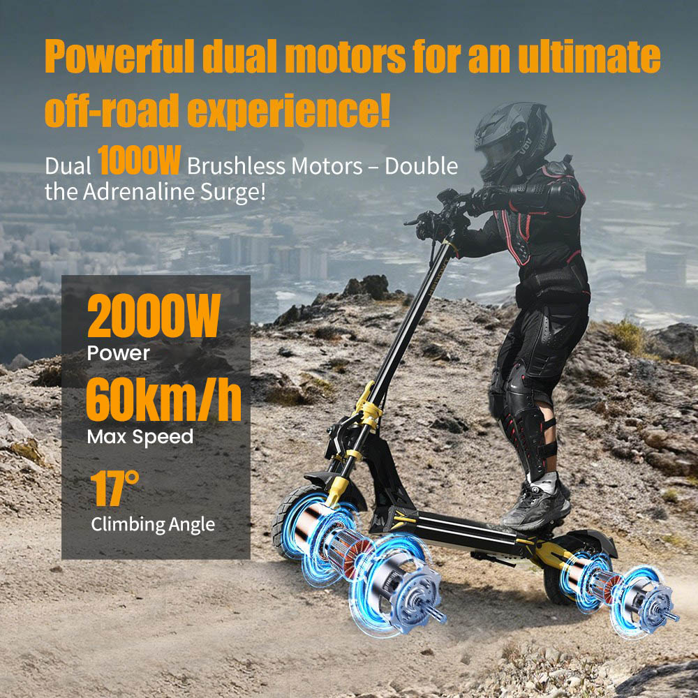 TWOFISH TW3 PRO Electric Scooter 1000W*2 Motor 52V 23Ah Battery 11 inch Tires 60km/h Max Speed 55km Range Dual Disc Brake