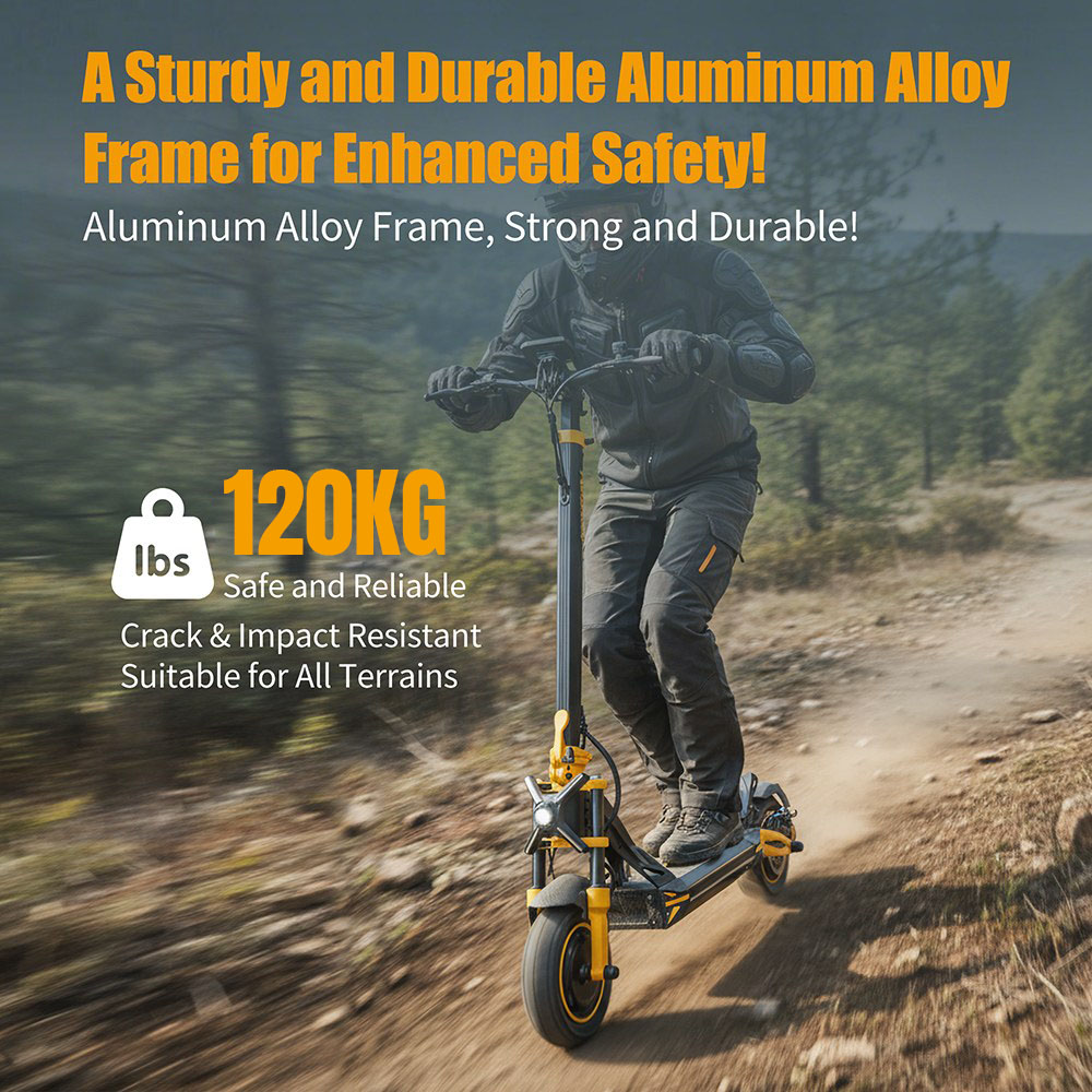 TWOFISH TW3 PRO Electric Scooter 1000W*2 Motor 52V 23Ah Battery 11 inch Tires 60km/h Max Speed 55km Range Dual Disc Brake