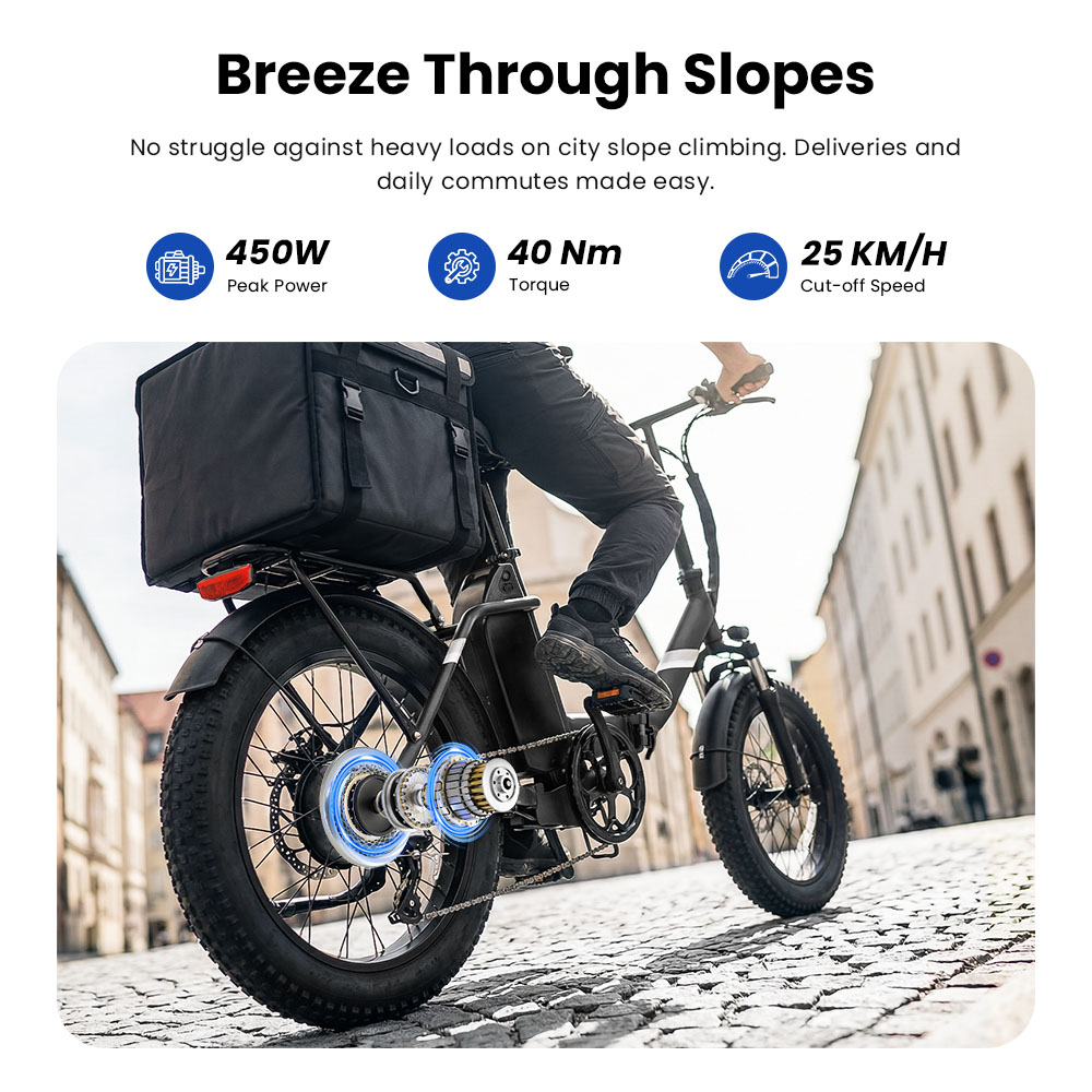 Touroll S3 Step-Thru Electric Bike 250W Motor 36V 13Ah Battery 20'×3 0' Tires 25km/h Max Speed 65km Max Range Dual Disc