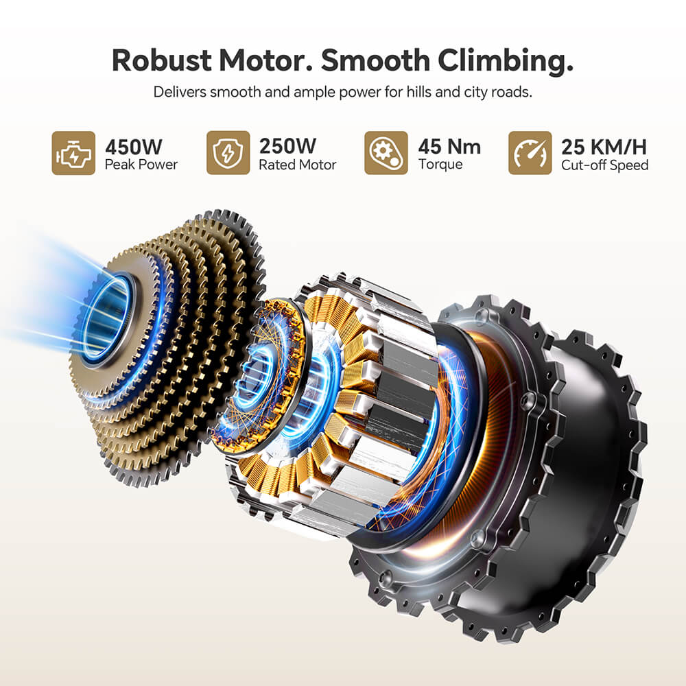 Foride Roamer 2 Step-Thru Electric Bike 250W Motor 36V 15 6Ah Battery 26'×1 75' Tires 25km/h Max Speed 100km Max Range M