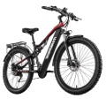 MTB Elettriche
